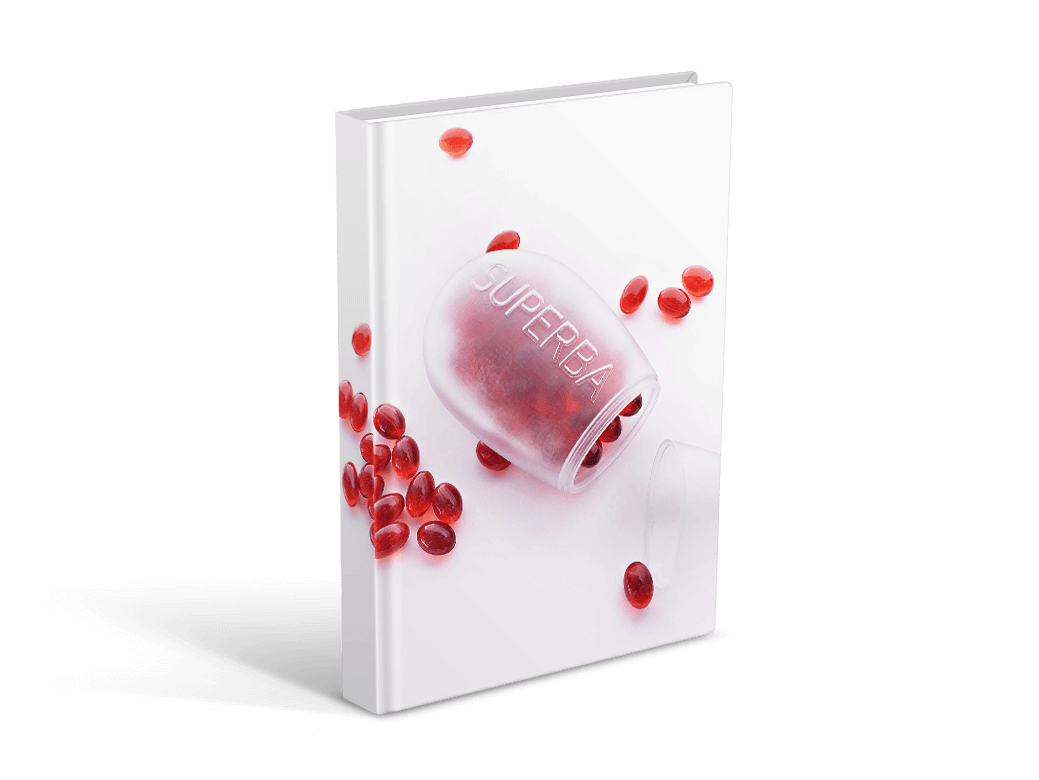 CTA-Superba- book-SpotnetEboook-tp.png