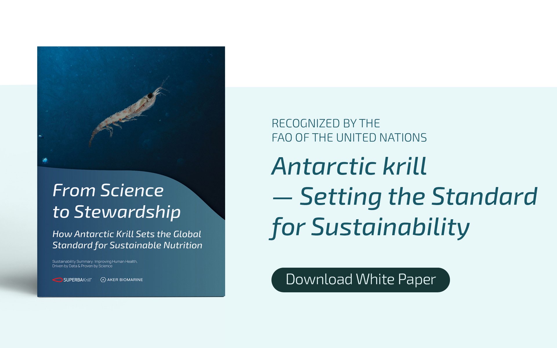 CTA_Sustainability_Desktop