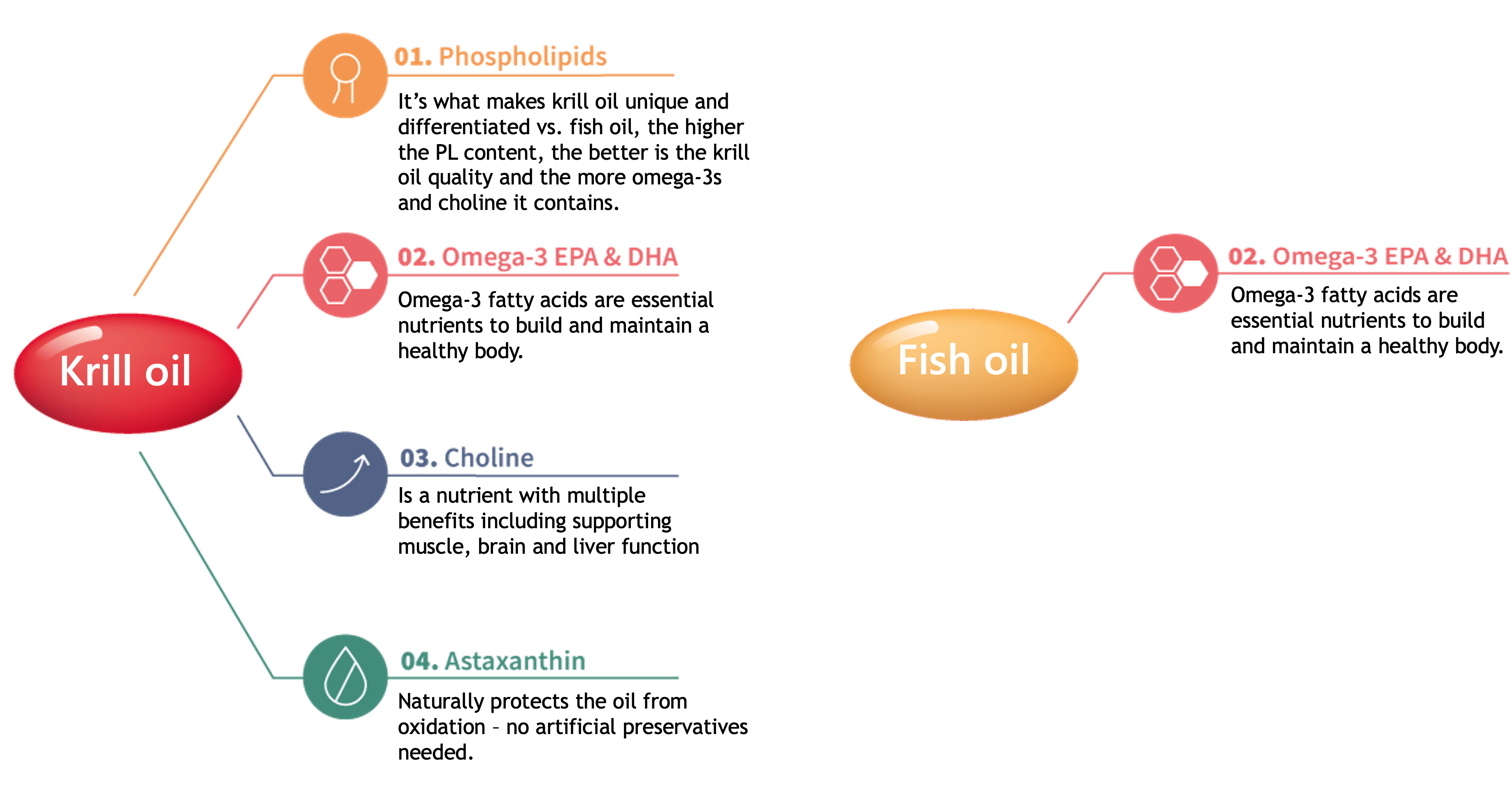 Krill oil molecule naturally contains