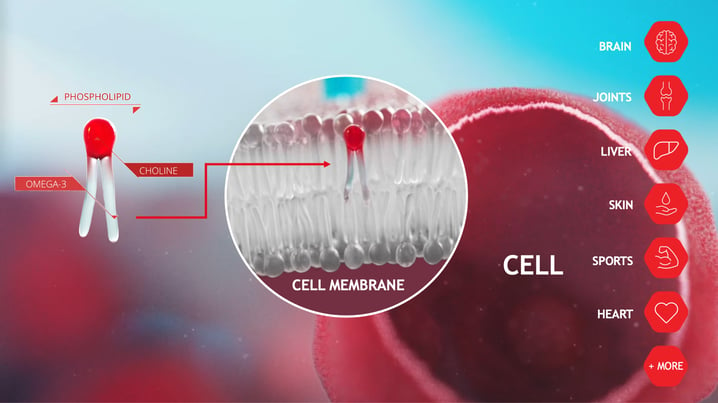 Cell & health benefits