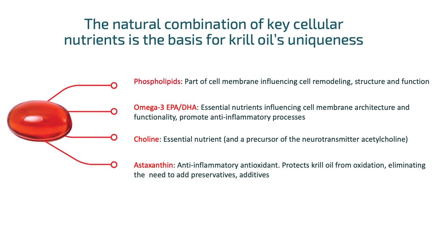 Krill Oil Nutrients