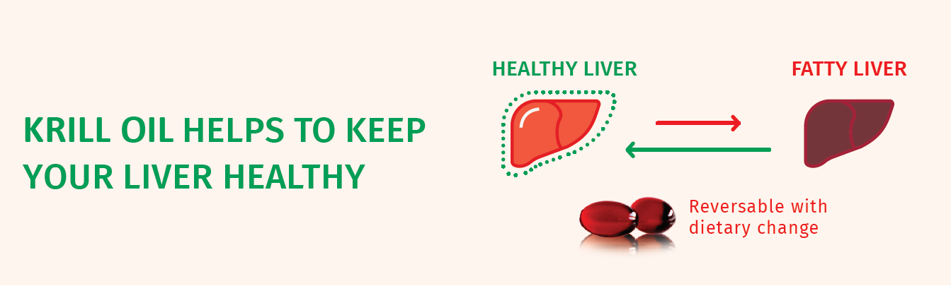 liver health