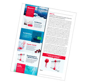 Superba krill BROCHURE.png