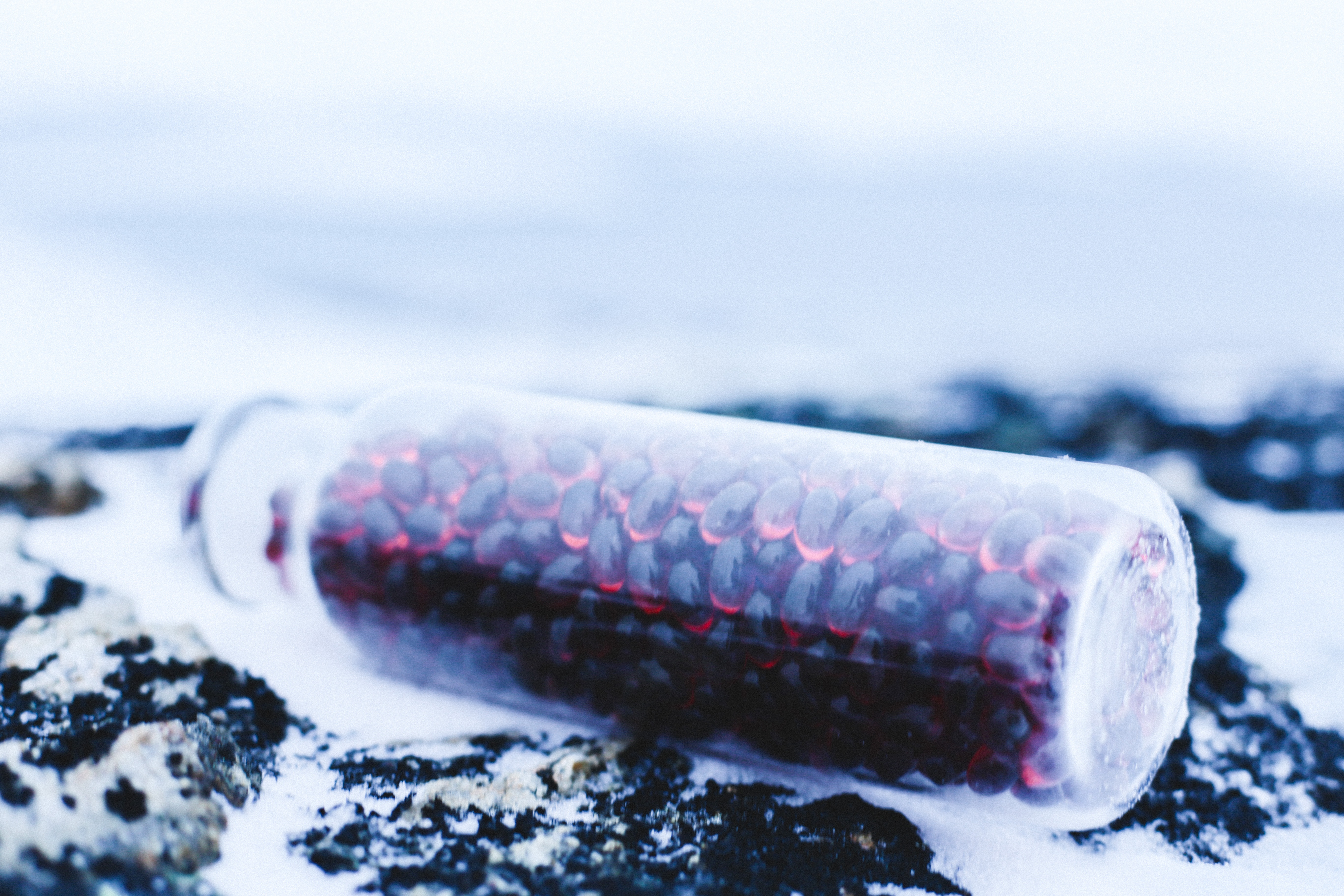 Why choose krill oil?